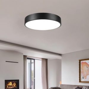 Matte Black Flush Mount Ceiling Light, 13" Dimmable LED Fixture, 3000K-5000K